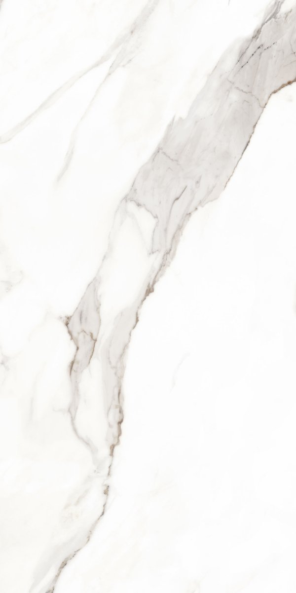 Calacatta 60x120