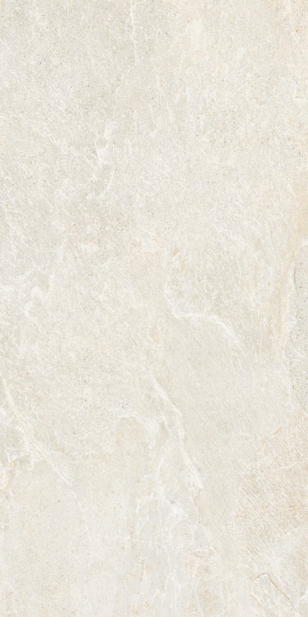 Genesis 60x120 Dove