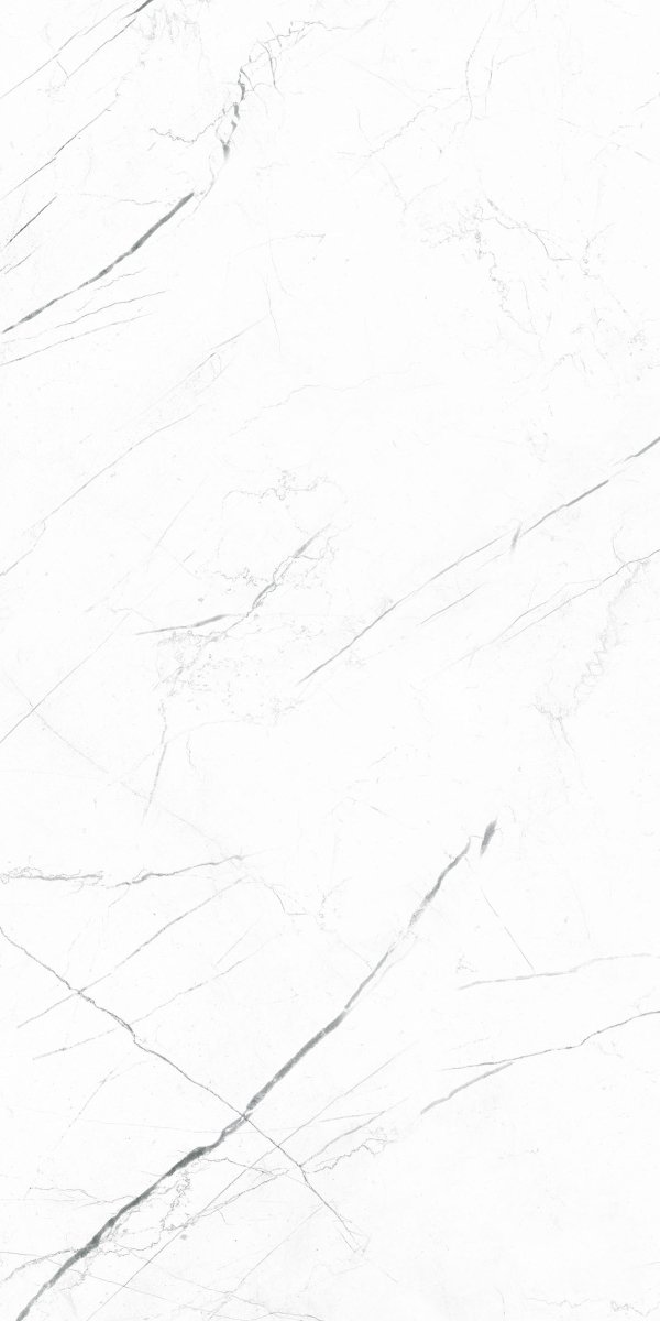 Marquina White 60x120 matná