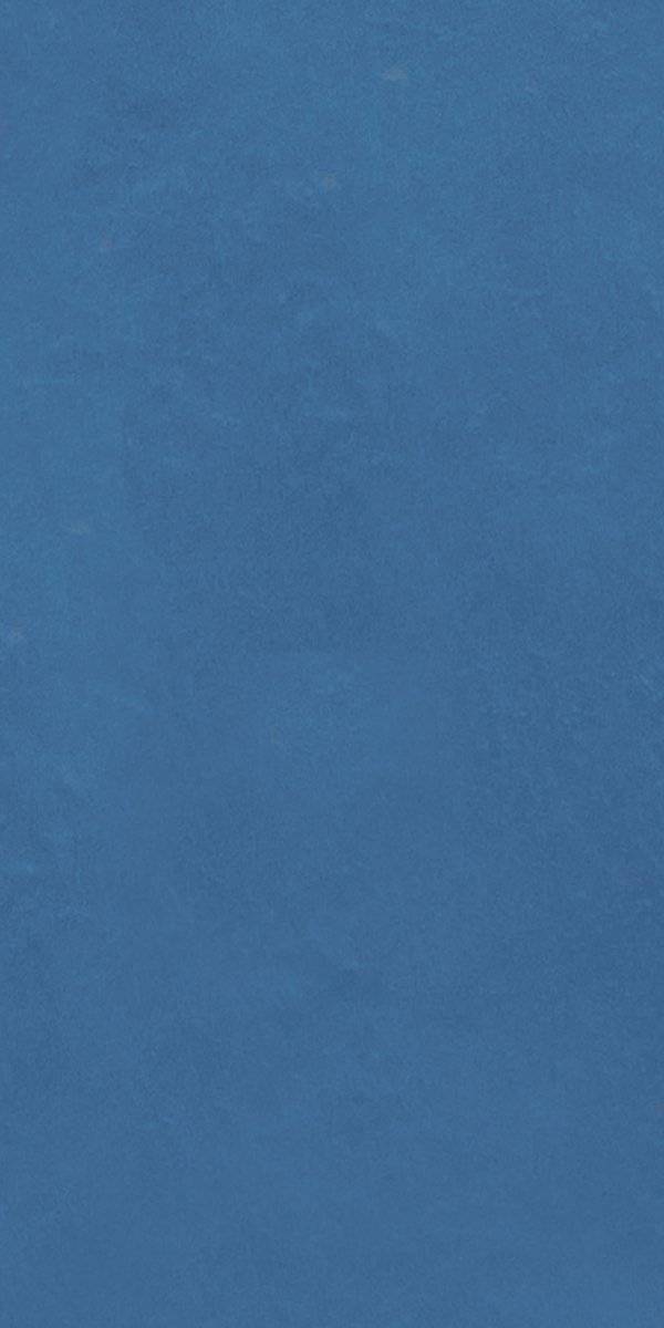 Mood 60x120 Vivo