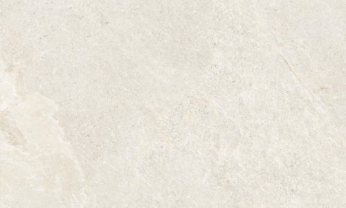 Genesis 60x120 Dove